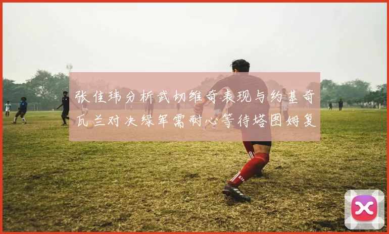 张佳玮分析武切维奇表现与约基奇瓦兰对决绿军需耐心等待塔图姆复出