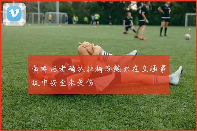 黄蜂记者确认拉梅洛鲍尔在交通事故中安全未受伤